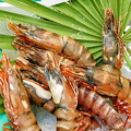 Fresh king prawns - gambas